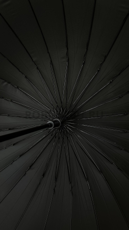 Зонт полуавтомат мужской трость, ROBIN 1523, ручка крюк, 25"(63.5см)Х24к, эпонж 210т, (диаметр),  г, , черный фото детальное