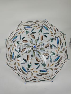 Зонт полуавтомат женский трость, PICCO 065, ручка крюк, 23"(58.5см)Х8к, ПВХ, (диаметр),  г, , цветы на прозрачном фоне фото анонса