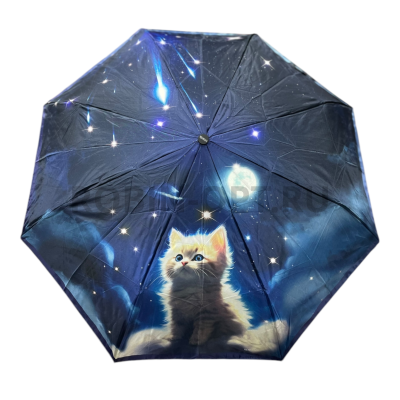 Зонт автомат женский 3 сл., ROBIN 3119, прямая ручка , 21.6"(55см)Х8к, эпонж, 96 см(диаметр), 344 г, 6 рассцветка, кошки фото анонса