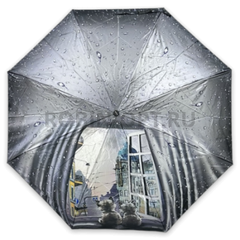 Зонт автомат женский 4 сл., DINIYA 131, прямая ручка , 21.6"(55см)Х8к, сатин, (диаметр),  г, , города и кошки фото анонса